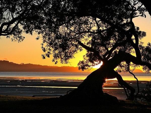 Beachside At Snells - Snells Beach Apartment エクステリア 写真